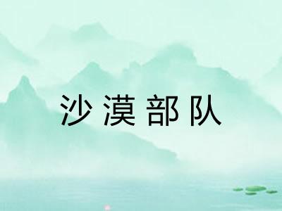 沙漠部队 沙漠部队
