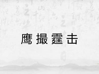 鹰撮霆击 鹰撮霆击