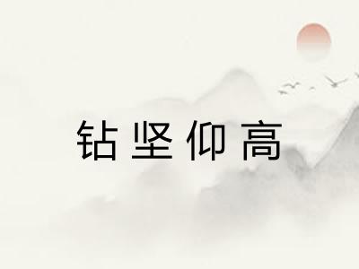钻坚仰高 钻坚仰高