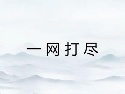 一网打尽