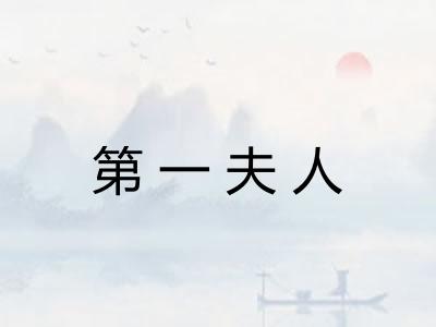 第一夫人 第一夫人