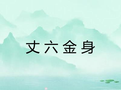丈六金身 丈六金身