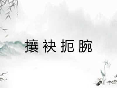 攘袂扼腕 攘袂扼腕