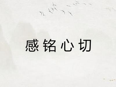 感铭心切 感铭心切
