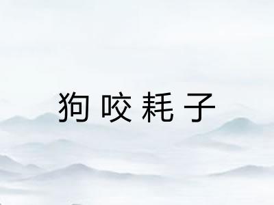 狗咬耗子 狗咬耗子