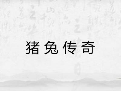 猪兔传奇