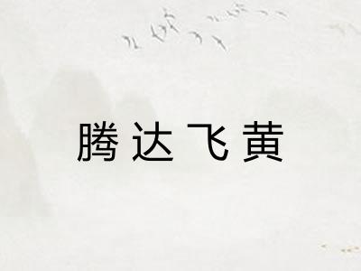 腾达飞黄 腾达飞黄