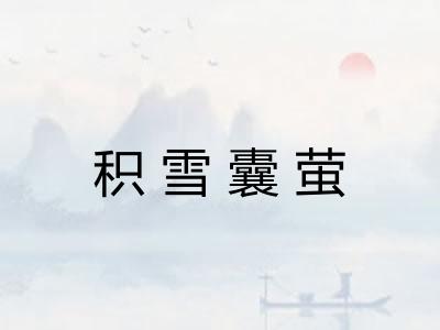 积雪囊萤 积雪囊萤