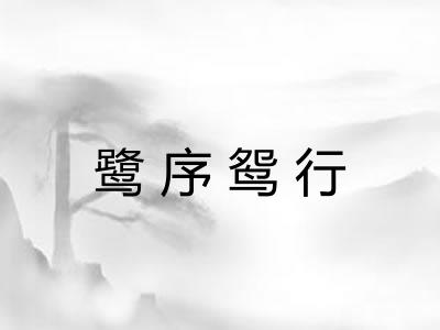 鹭序鸳行 鹭序鸳行