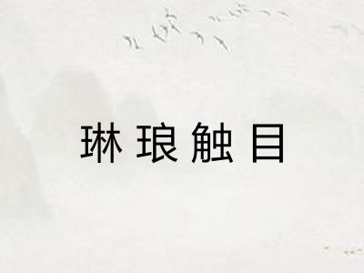 琳琅触目 琳琅触目