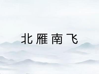 北雁南飞