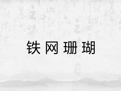铁网珊瑚 铁网珊瑚