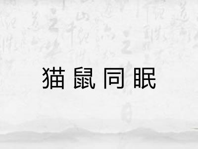 猫鼠同眠