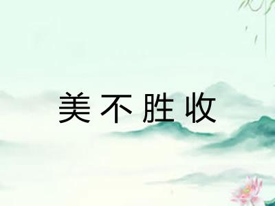美不胜收 美不胜收