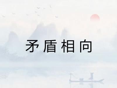 矛盾相向
