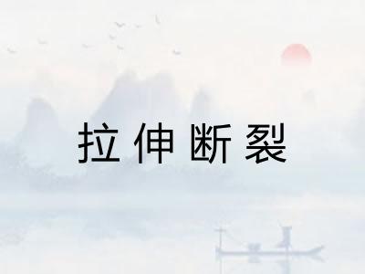 拉伸断裂 拉伸断裂