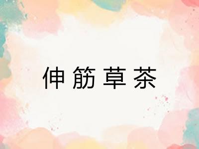 伸筋草茶 伸筋草茶