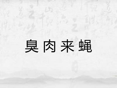 臭肉来蝇