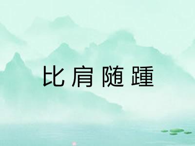 比肩随踵 比肩随踵