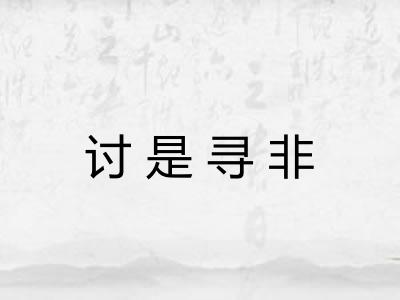 讨是寻非