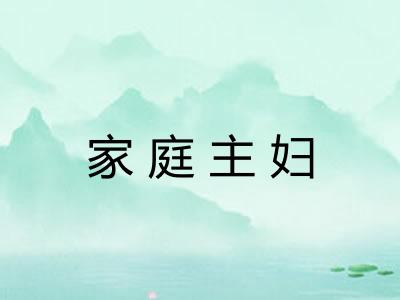 家庭主妇 家庭主妇