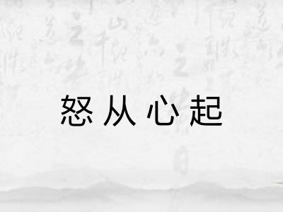 怒从心起 怒从心起
