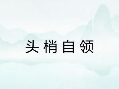 头梢自领 头梢自领
