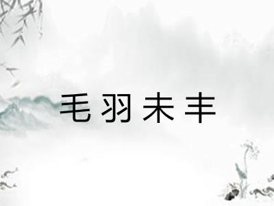 毛羽未丰 毛羽未丰