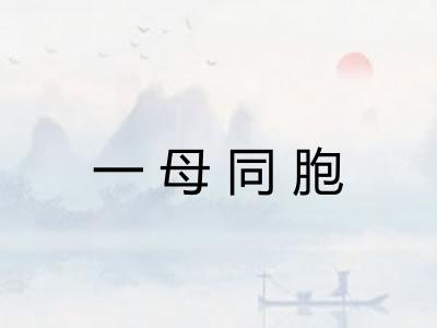 一母同胞