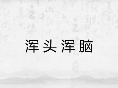 浑头浑脑 浑头浑脑