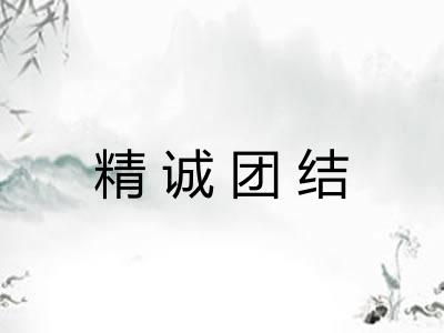 精诚团结 精诚团结