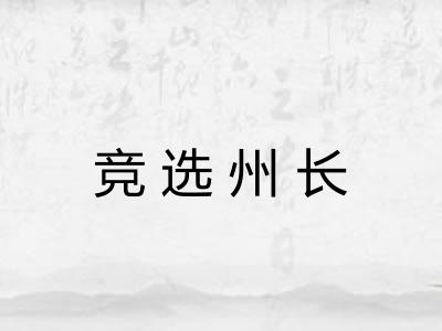 竞选州长 竞选州长