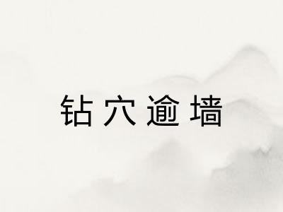 钻穴逾墙
