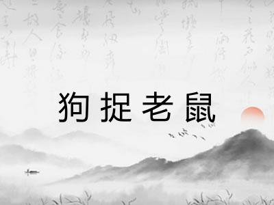狗捉老鼠 狗捉老鼠