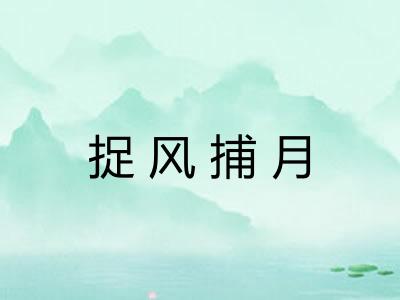 捉风捕月