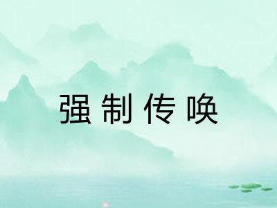 强制传唤 强制传唤