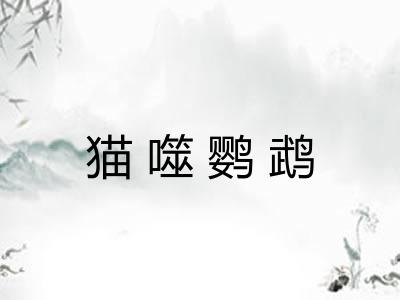 猫噬鹦鹉 猫噬鹦鹉