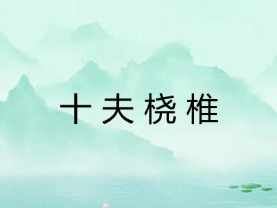 十夫桡椎 十夫桡椎