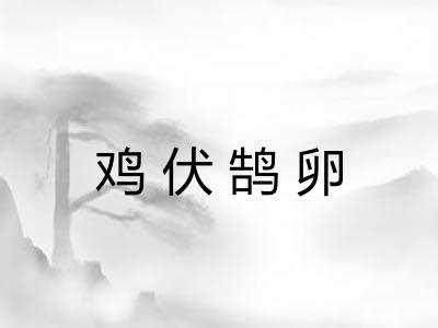 鸡伏鹄卵 鸡伏鹄卵