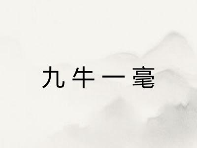 九牛一毫