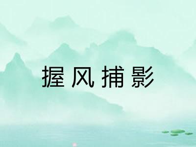 握风捕影