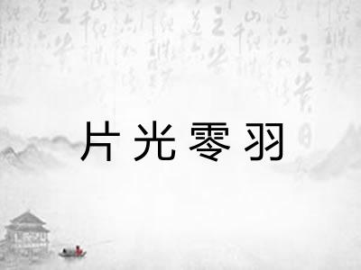 片光零羽