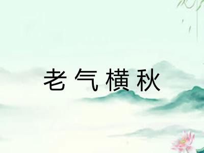 老气横秋