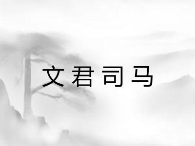 文君司马 文君司马
