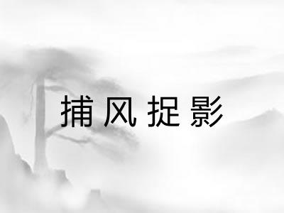捕风捉影