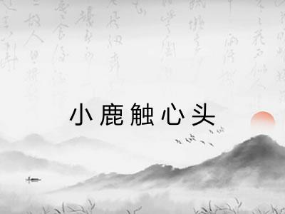 小鹿触心头 小鹿触心头