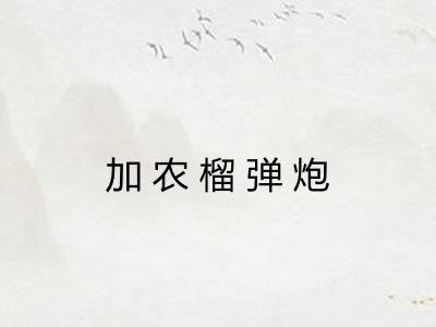 加农榴弹炮 加农榴弹炮