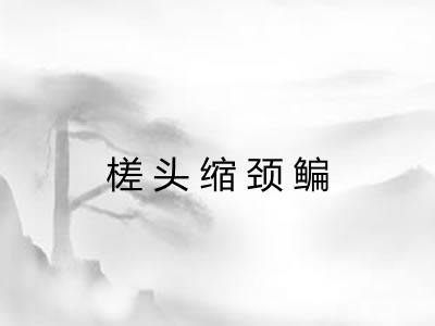 槎头缩颈鳊