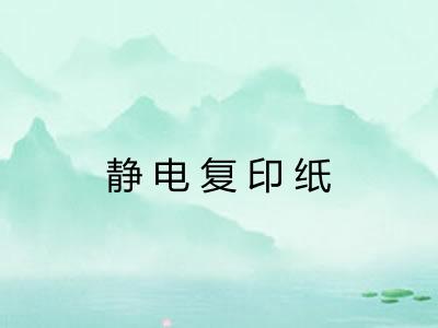 静电复印纸 静电复印纸