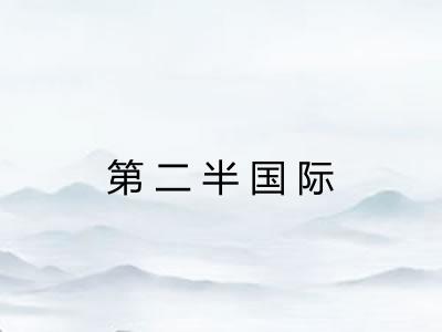 第二半国际 第二半国际